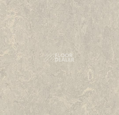 Кварцвиниловые полы Forbo Marmoleum Modular t3136 concrete фото 1 | FLOORDEALER